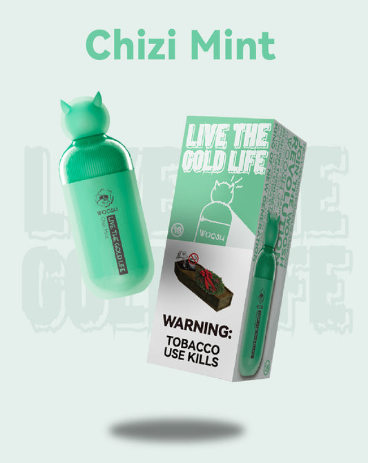 Chizi Mint Vape Juice | 6500 Puffs